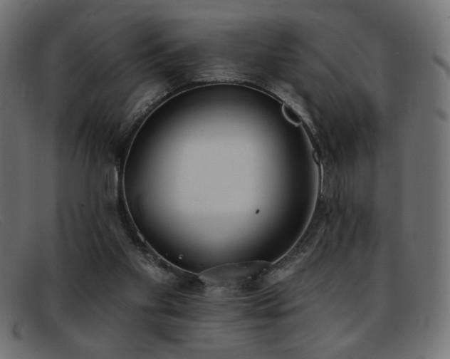 X0000093360109200710111502