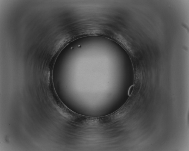 X0000093360110200710111502