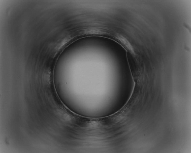 X0000093360111200710111502