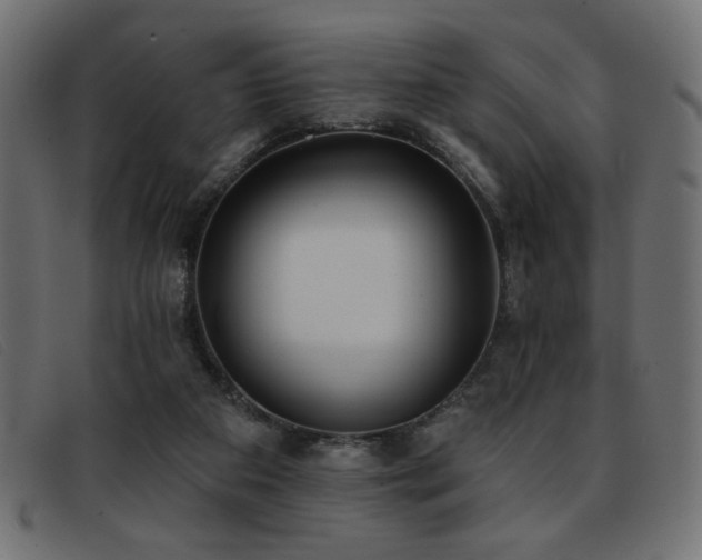 X0000093360113200710111502