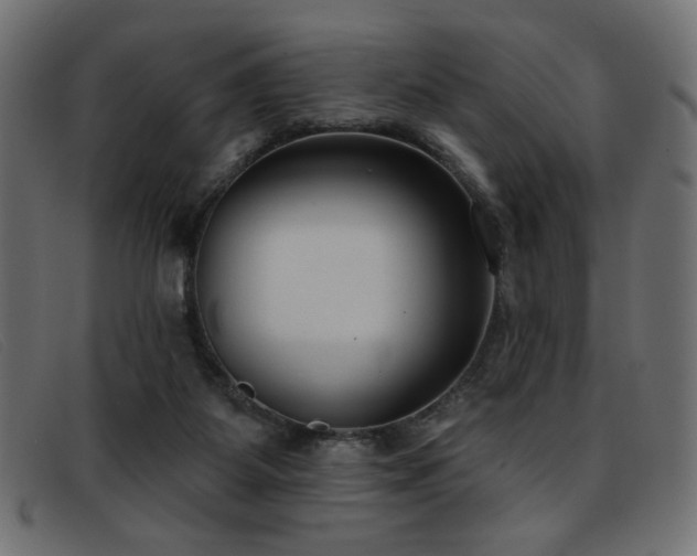 X0000093360115200710111502