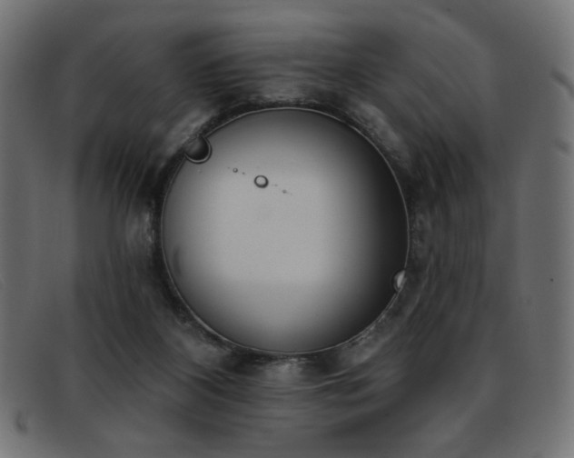 X0000093360116200710111502