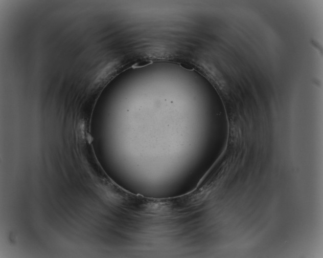 X0000093360117200710111502