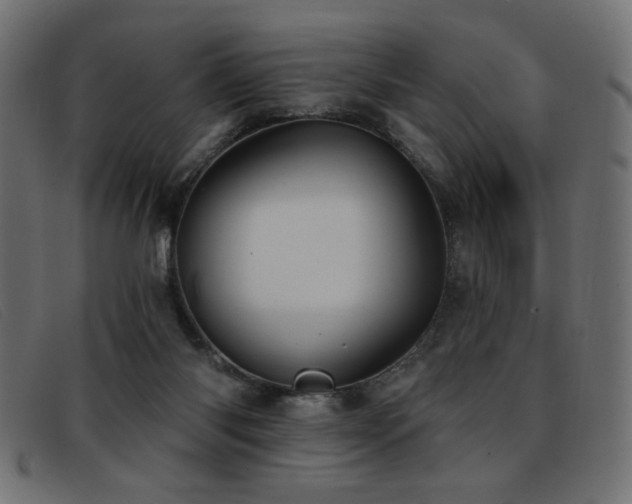 X0000093360118200710111502