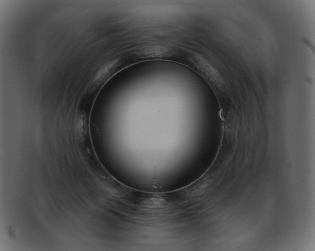 X0000093360119200710111502