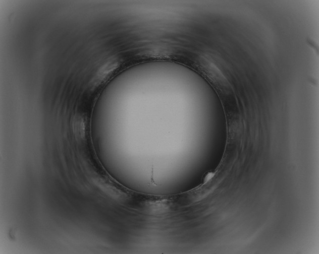 X0000093360120200710111502