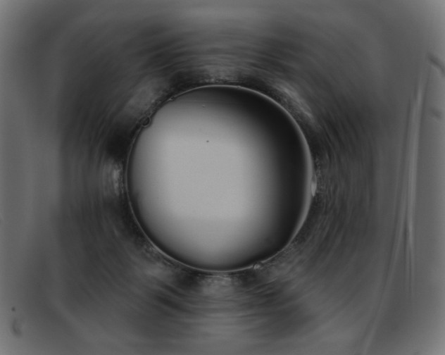 X0000093360123200710111501