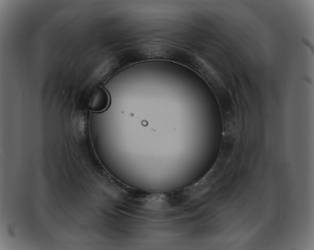 X0000093360124200710111501
