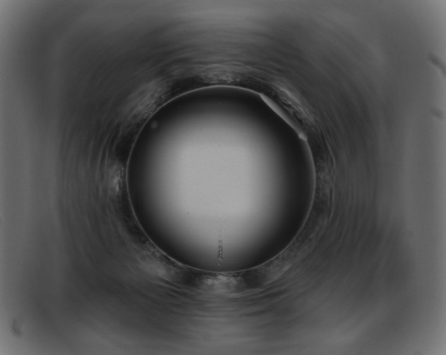 X0000093360125200710111501