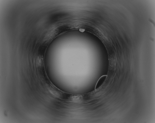 X0000093360126200710111501