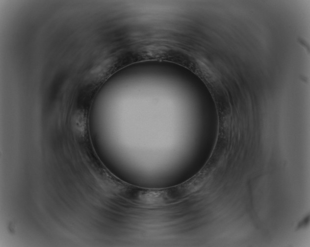 X0000093360129200710111501