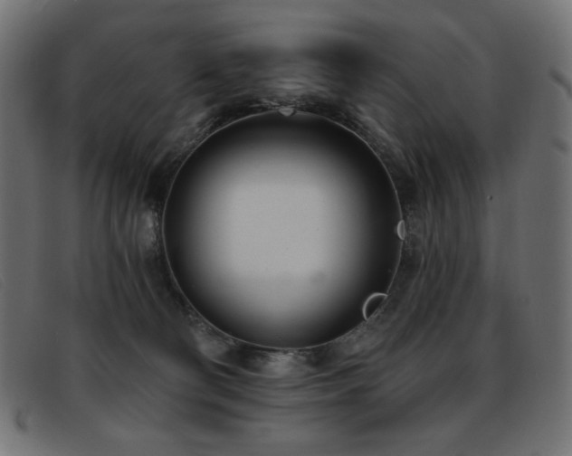 X0000093360130200710111501