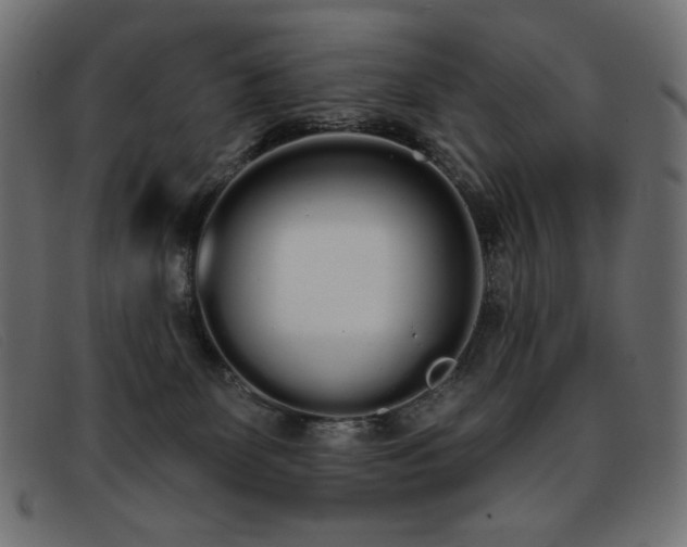 X0000093360131200710111501