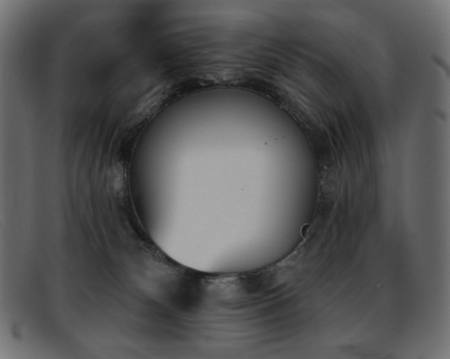 X0000093360132200710111501
