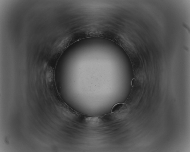 X0000093360133200710111501
