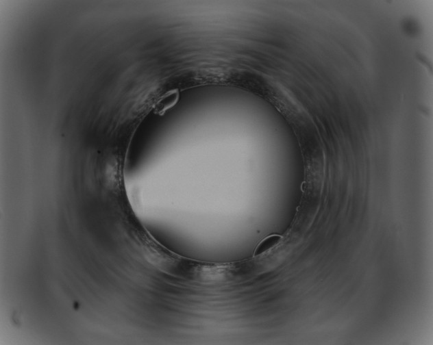 X0000093360134200710111501