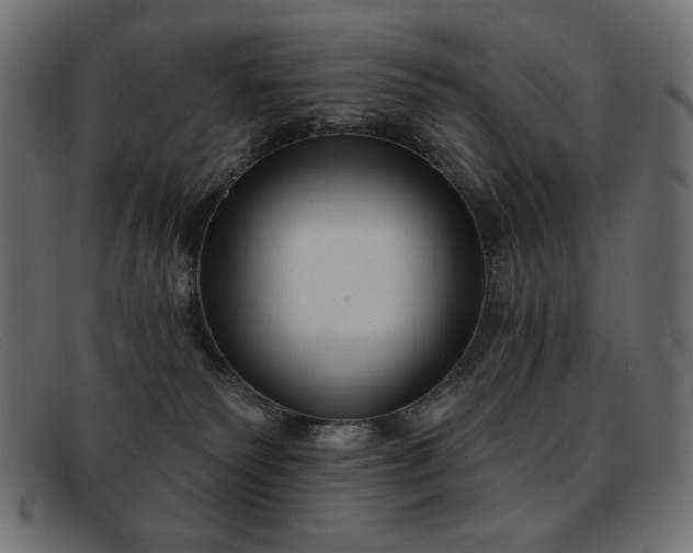X0000093360135200710111501