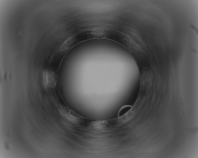 X0000093360136200710111501