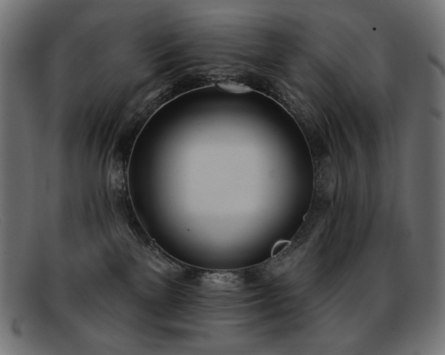 X0000093360137200710111501