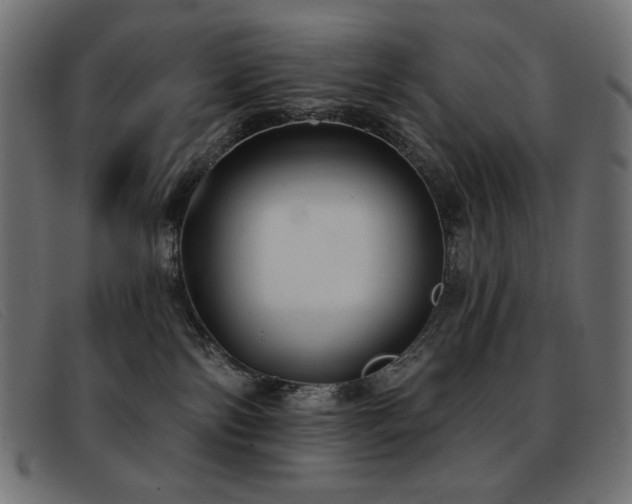 X0000093360138200710111501