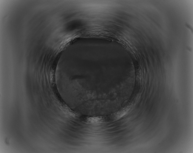 X0000093360139200710111501