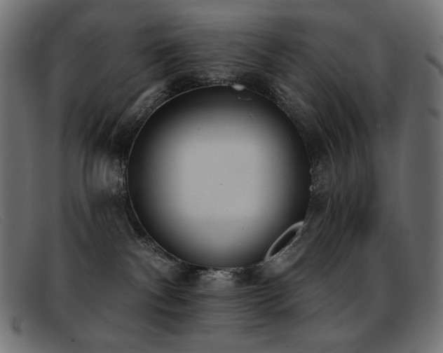 X0000093360140200710111501