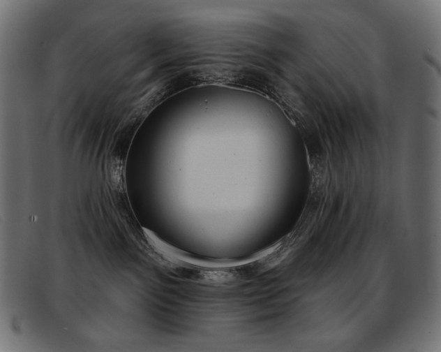 X0000093360141200710111501