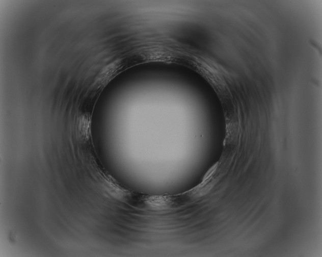 X0000093360142200710111501