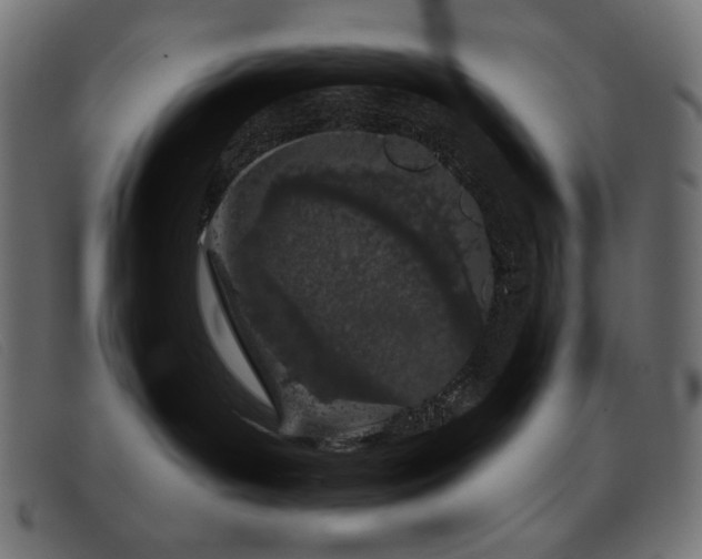 X0000093360143200710111501