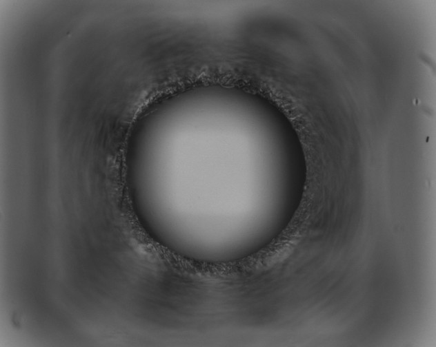 X0000093360144200710111501