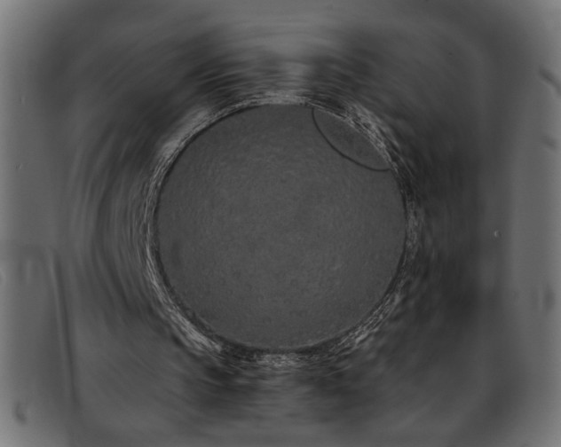 X0000093360145200710111501
