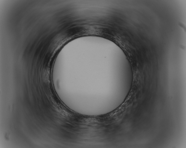 X0000093360146200710111501