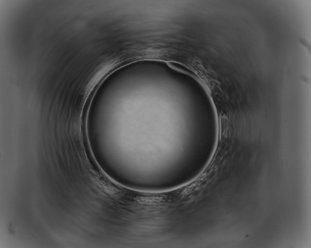 X0000093360147200710111501