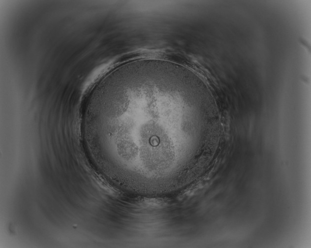 X0000093360149200710111501
