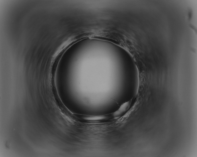 X0000093360150200710111501