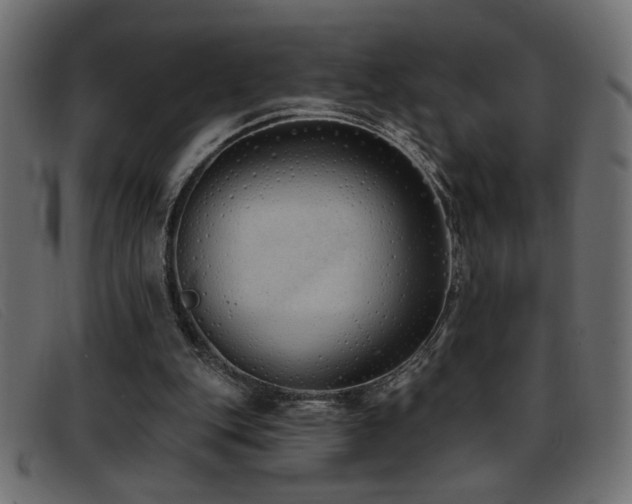 X0000093360151200710111501