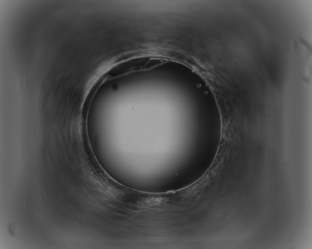 X0000093360152200710111501