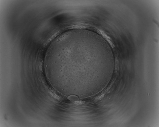 X0000093360153200710111501