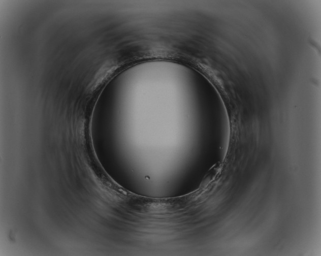 X0000093360154200710111501