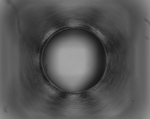 X0000093360155200710111501
