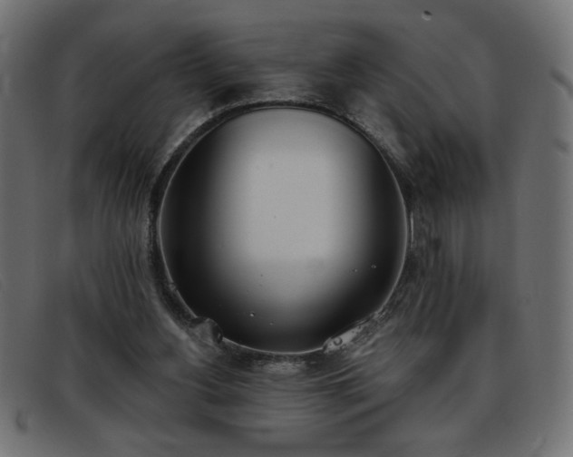 X0000093360156200710111501