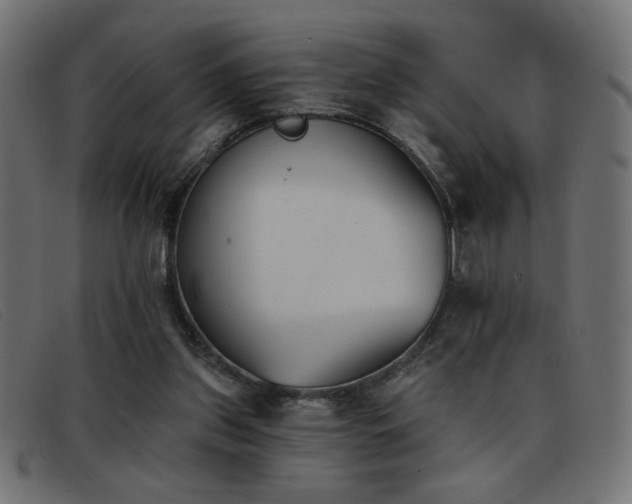 X0000093360157200710111501