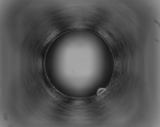 X0000093360158200710111501