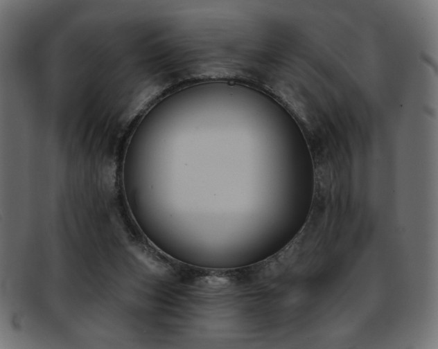X0000093360159200710111501