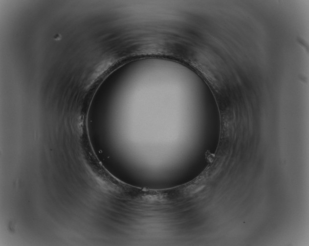X0000093360160200710111501