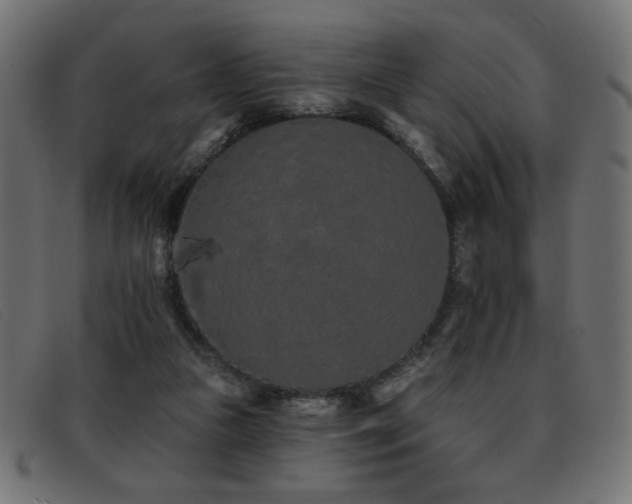 X0000093360161200710111501
