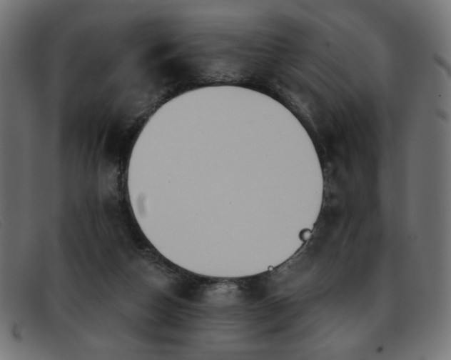 X0000093360162200710111501