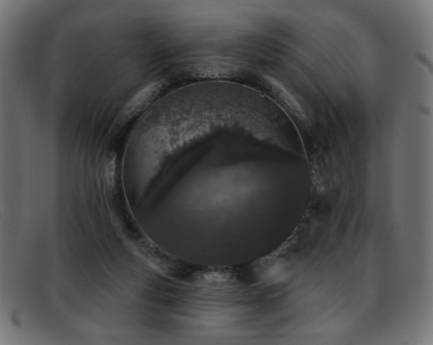 X0000093360163200710111501