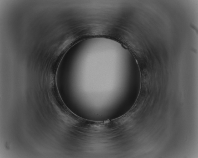X0000093360164200710111501