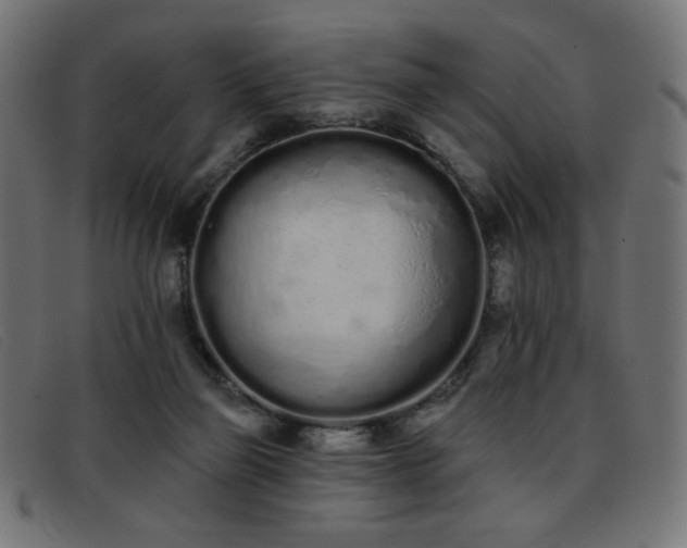 X0000093360165200710111501